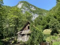 Old sawmill plant with water turbine or mill of the KovaÃÂ family, Zamost - Gorski kotar, Croatia /Stari pogon ÃÂ¾age